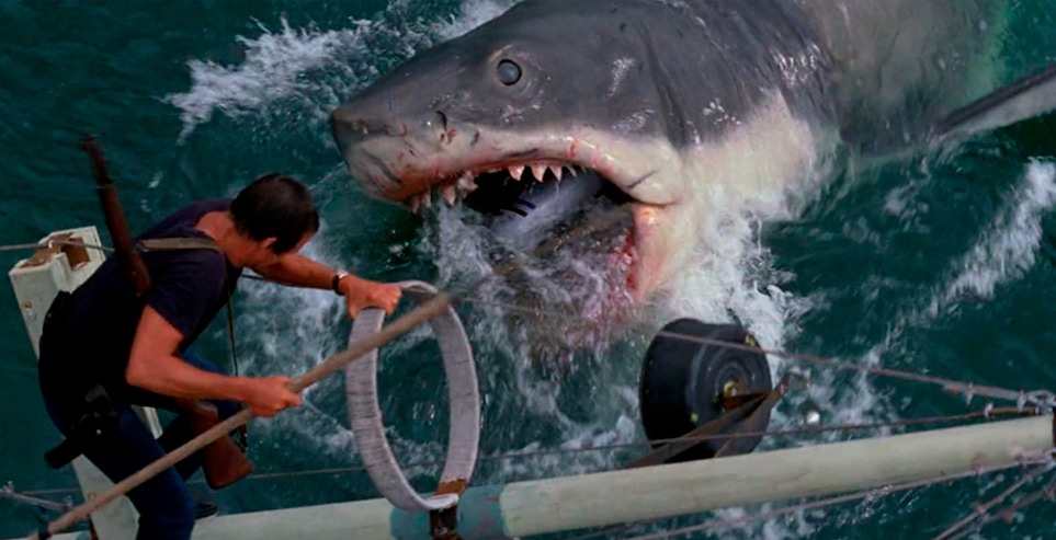 Still from Jaws