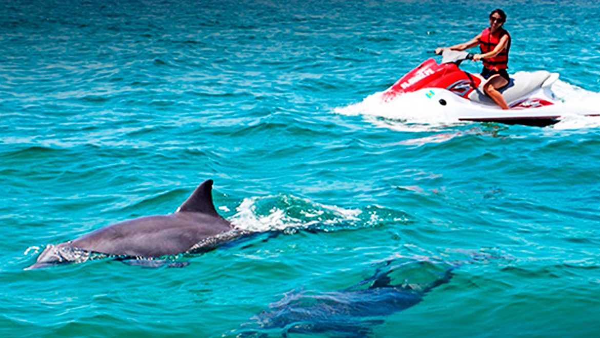 Ocean Star Charters: Jet Ski Hire