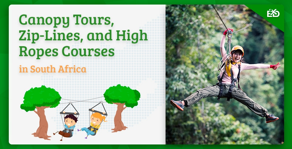 Canopy Tours, Zip-Lines, and High Ropes Courses in South Africa